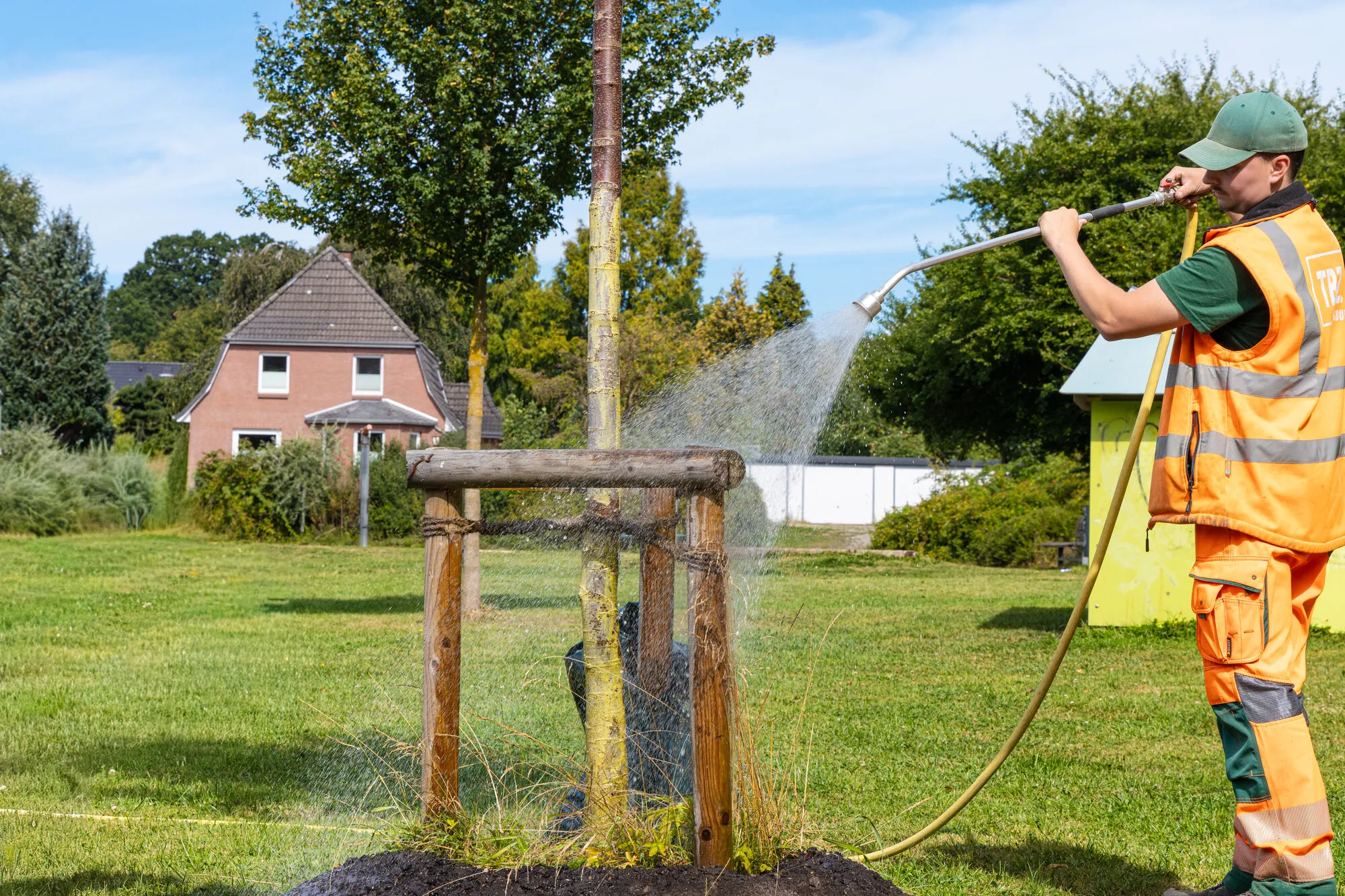 Ein Mitarbeiter des Technischen Betriebszentrums wässert mit einem Schlauch einen jungen Baum, der von einem Holzgerüst gestützt wird.